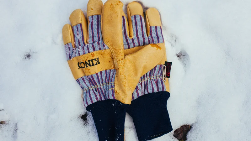 Kinco Ski Gloves